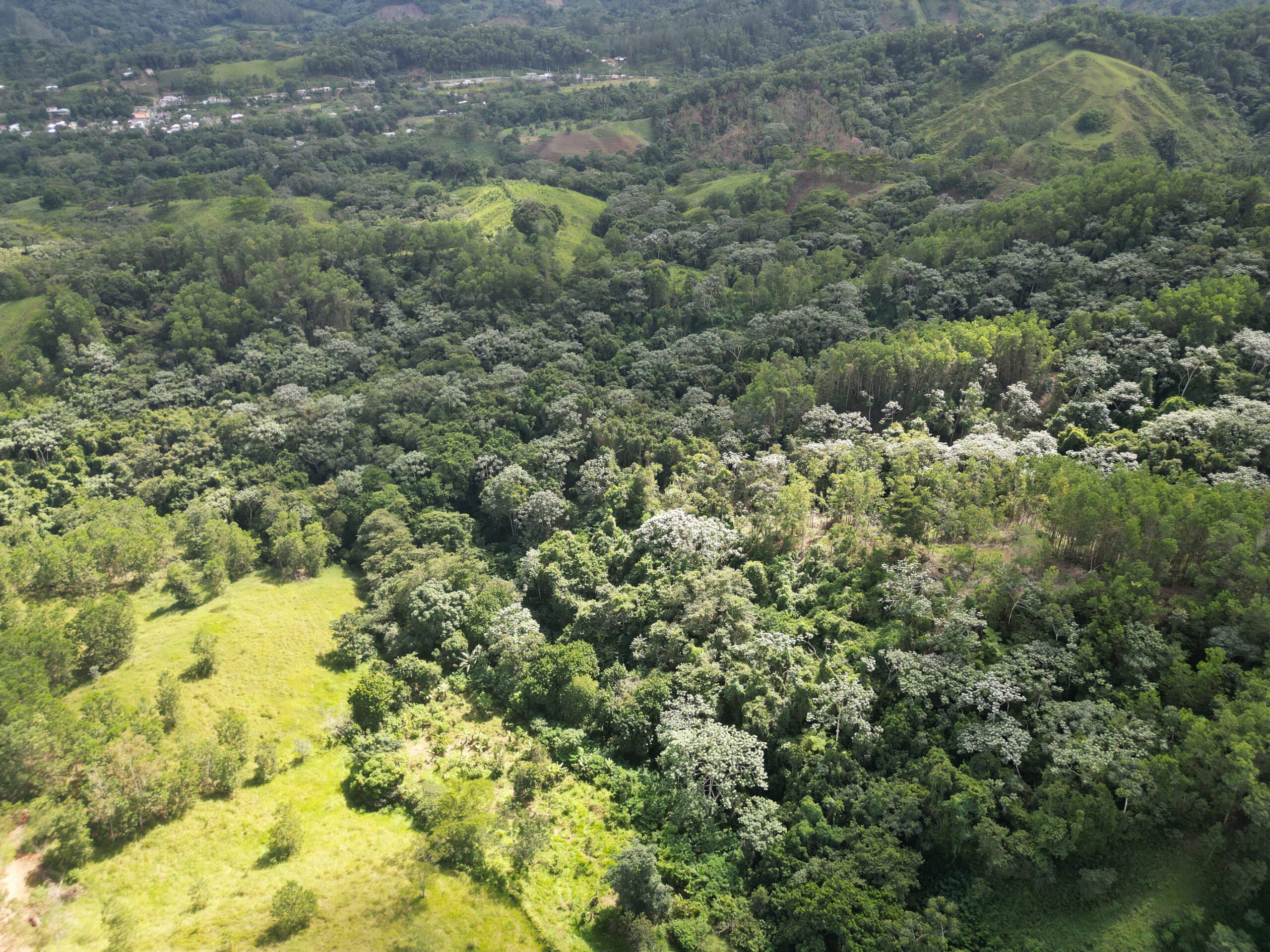 Vista panorámica del proyecto